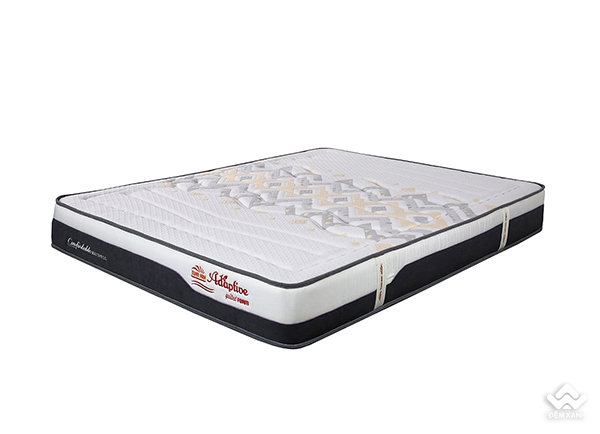 Đệm foam Tuấn Anh Quilted Adaptive