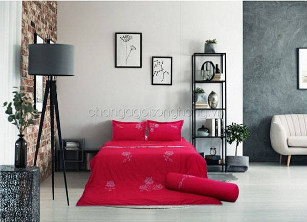 Home Collection - Lựa chọn của sự trẻ trung