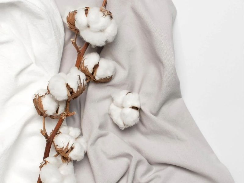 Chất liệu cotton mang lại cảm giác mềm mại, dịu nhẹ khi chạm tay