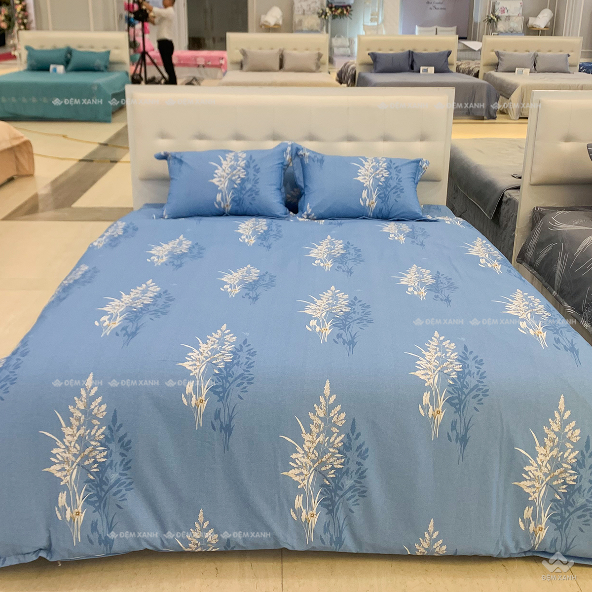 Vỏ chăn xuân thu Sông Hồng basic cotton BC24C10