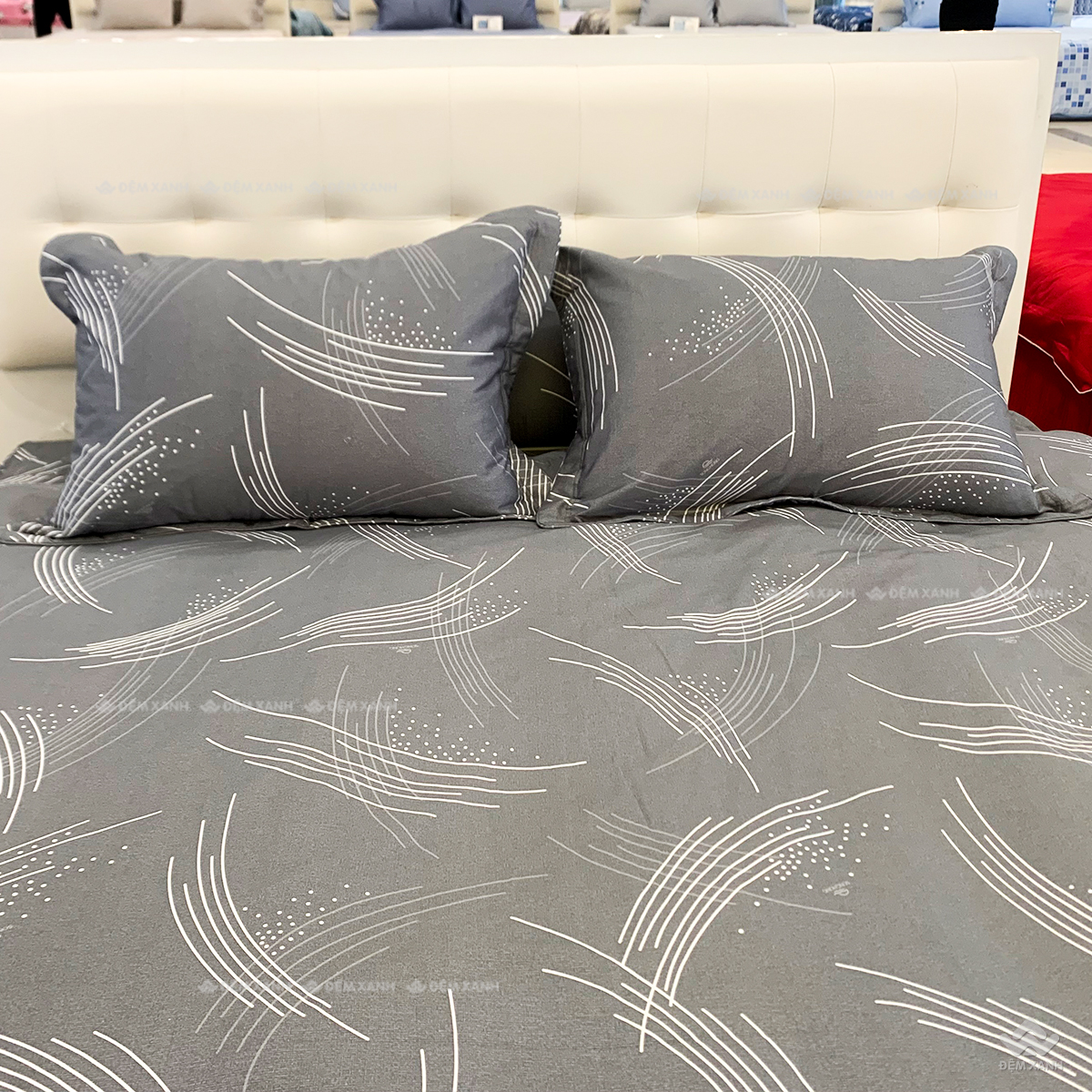 Vỏ chăn xuân thu Sông Hồng basic cotton BC24101