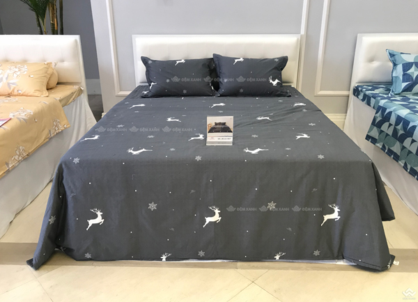 Vỏ chăn đông Sông Hồng basic cotton BC22067