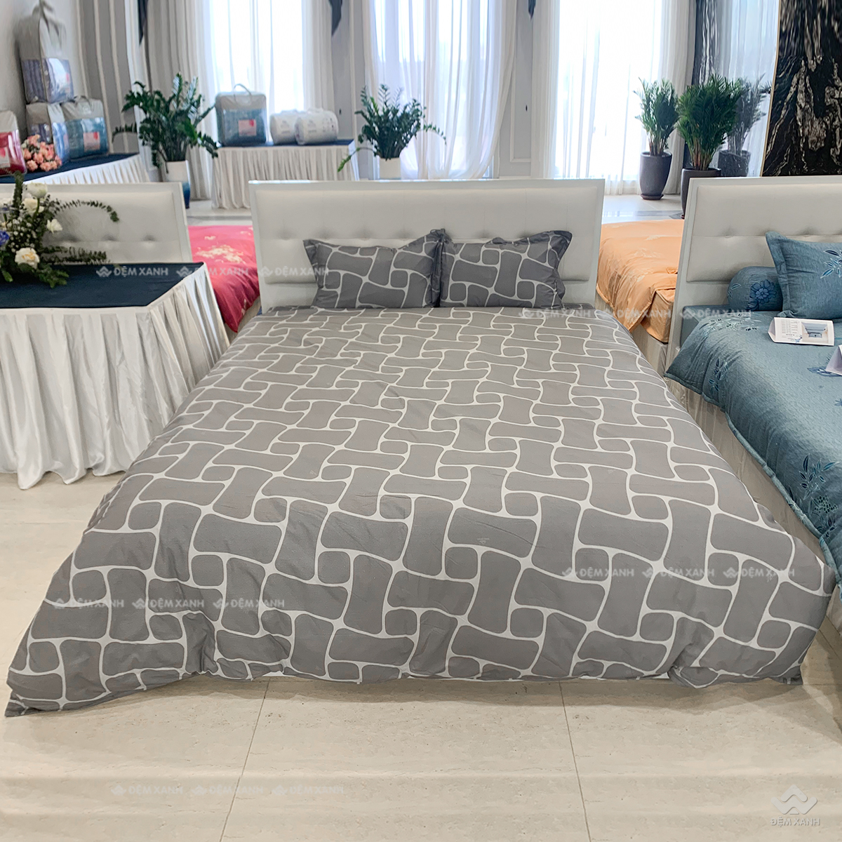 Vỏ chăn đông Sông Hồng basic cotton  BC24106