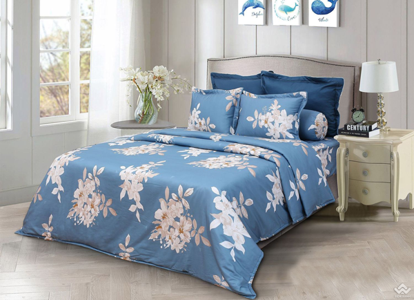 Chăn đông Sông Hồng Basic cotton BC21036