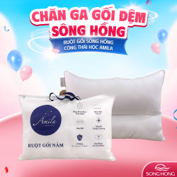 Ruột gối Sông Hồng Công thái học Organic