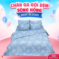 Chăn đông Sông Hồng Basic cotton BC25109