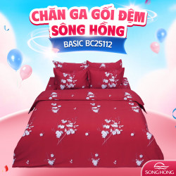Chăn đông Sông Hồng Basic cotton BC25112